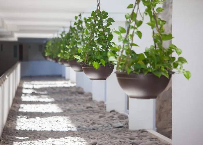 Grupotel Revoli Aparthotel 4*